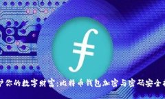 保护你的数字财富：比特币钱包加密与密码安全