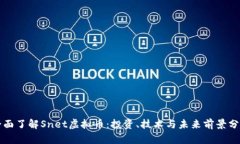 全面了解Snet虚拟币：投资、技术与未来前景分析