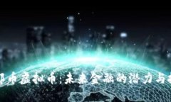 瑞郎币虚拟币：未来金融的潜力与挑战