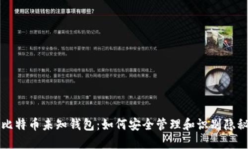 揭秘比特币未知钱包：如何安全管理和识别隐秘资产