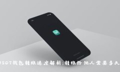 USDT钱包转账速度解析：转账给他人需要多久？