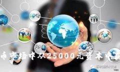 如何在虚拟币市场中从25000元资本中获得最大收益