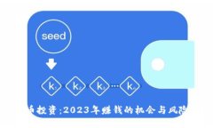 虚拟币投资：2023年赚钱的机会与风险详解