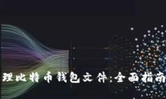 如何安全管理比特币钱包文件：全面指南与最佳