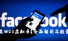 什么是WDS虚拟币？全面解析及投资指南