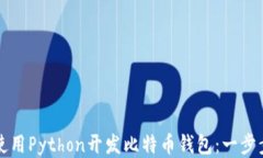如何使用Python开发比特币钱包：一步步指南