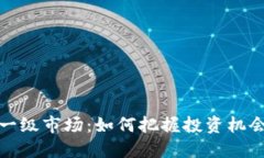 揭秘虚拟币一级市场：如何把握投资机会与风险