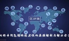 比特币钱包转账速度慢的原因解析与解决方案