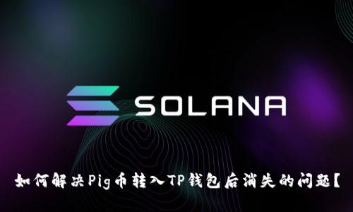 如何解决Pig币转入TP钱包后消失的问题？