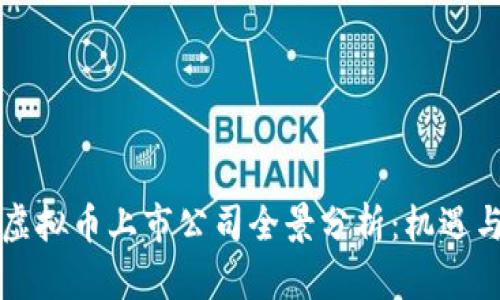 美国虚拟币上市公司全景分析：机遇与挑战