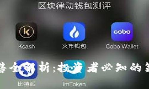 虚拟币配售全解析：投资者必知的策略与风险