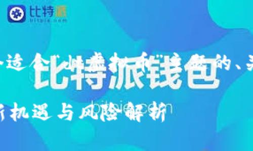 当然可以，我将为您制定一个适合“dt虚拟币”主题的、关键词、内容大纲和相关问题。

DT虚拟币：数字资产投资的新机遇与风险解析