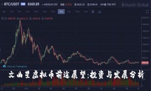 文曲星虚拟币前途展望：投资与发展分析