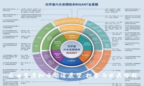 文曲星虚拟币前途展望：投资与发展分析