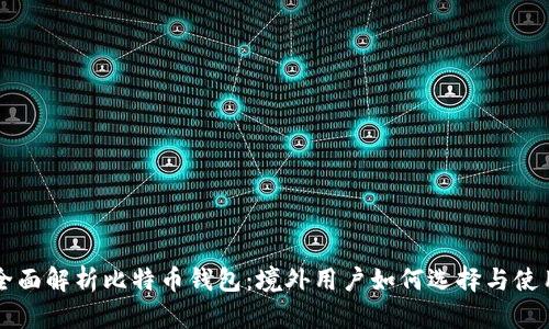 全面解析比特币钱包：境外用户如何选择与使用