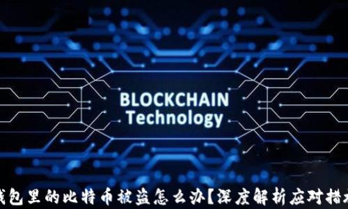 
钱包里的比特币被盗怎么办？深度解析应对措施