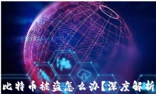 
钱包里的比特币被盗怎么办？深度解析应对措施